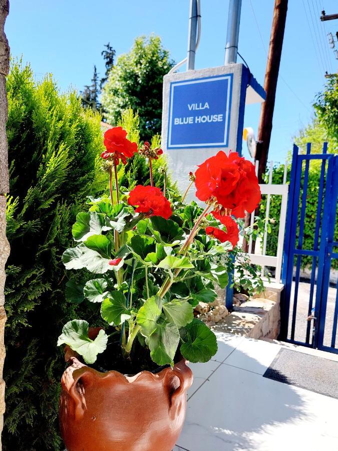 Villa Blue House Nea Kallikrateia Buitenkant foto